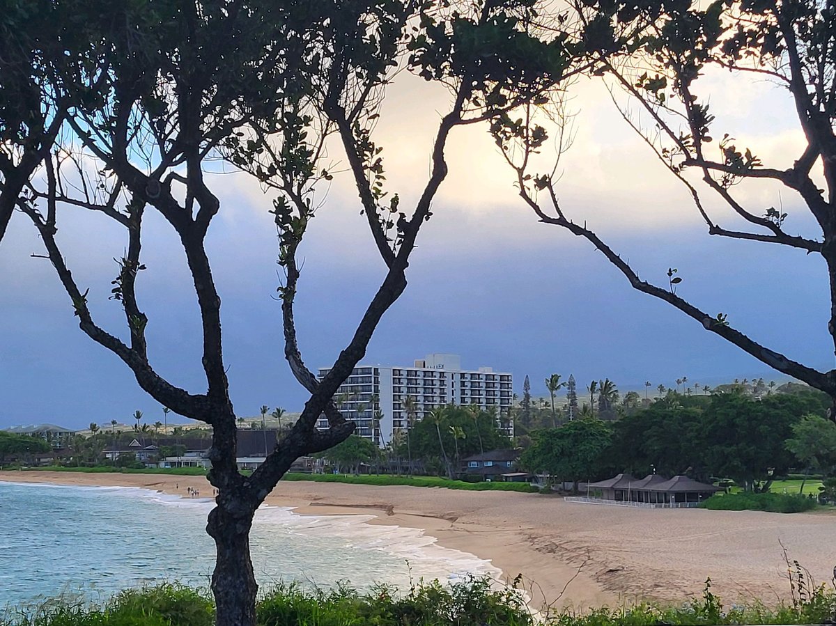 Gnarled tree branches frame a tropical beach cove with turquoise water, sandy shore, and beachfront resort buildings at dusk